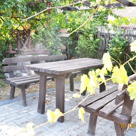Villa Bylinka Trzcinsko Zdroj Esterno foto