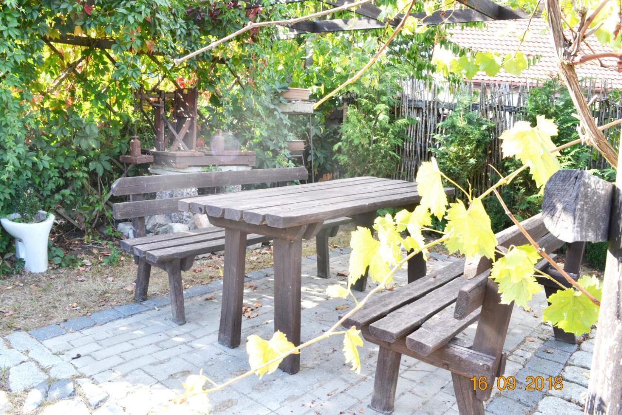 Villa Bylinka Trzcinsko Zdroj Esterno foto